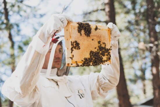 Fascination with bees and dedication to beekeeping turned into a thriving business for Jimmy Wilkie and his family. 