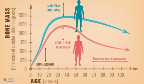 Bone Mass growth over the years.