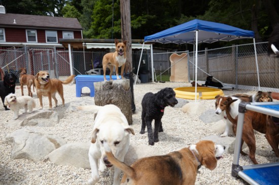 Life is always a holiday during outdoor play time!