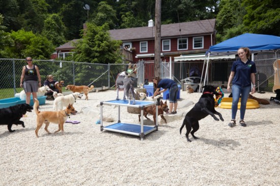 Life is always a holiday during outdoor play time!