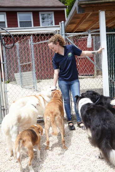 Fawn greets a group of her four-legged clients.