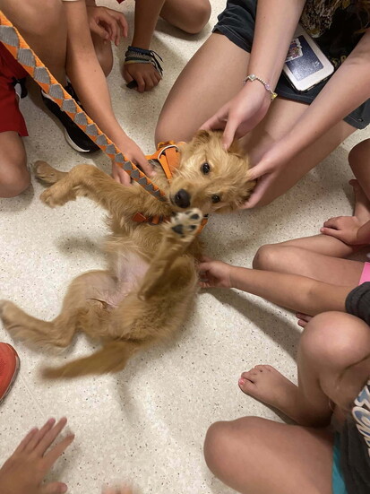 Roo