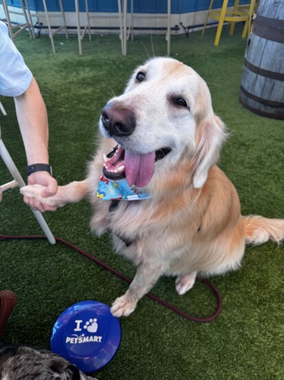 Miles Dils happy after eating his doggie burger!