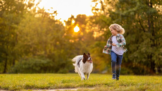 Integrating a new pet into a family requires some thought and planning beforehand—and can help pets and kids become best friends. Photo: pikselstock 