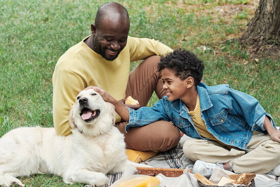 A happy match between family and pet starts with understanding what type of pet will work best for your lifestyle. Photo: Anna Stills/stock.adobe.com