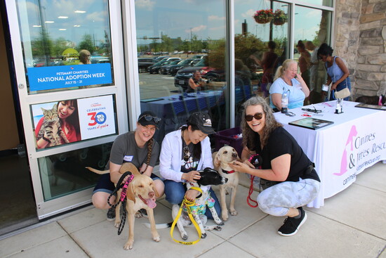 Canine & Kitties volunteers at one of the rescue's adoption events with canine pals Edith, Big Mac, and Alva (all now successfully adopted). 