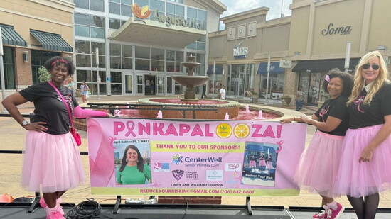 Featured image for A Pinkapalooza Celebration