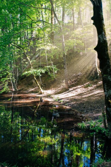 Around 1800, Christian Clemens moved from Detroit to the wilderness, built a log home, and opened a distillery on the banks of the Clinton River. 