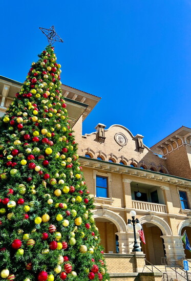Christmas Tree in front of the Pensacola Museum of History