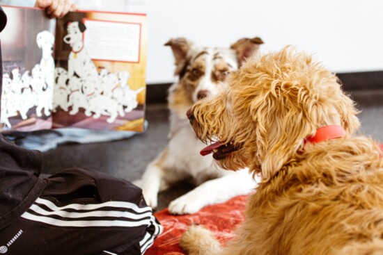 An instructor reads "101 Dalmatians" to a group of pups during story time. 