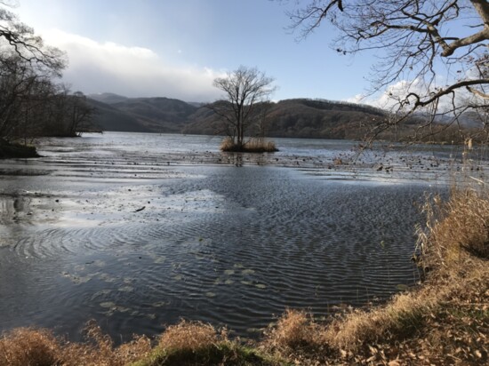 Onuma National Park