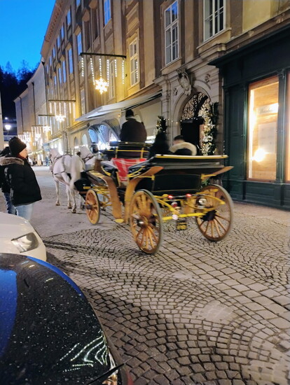 Carriage rides abroad inspire