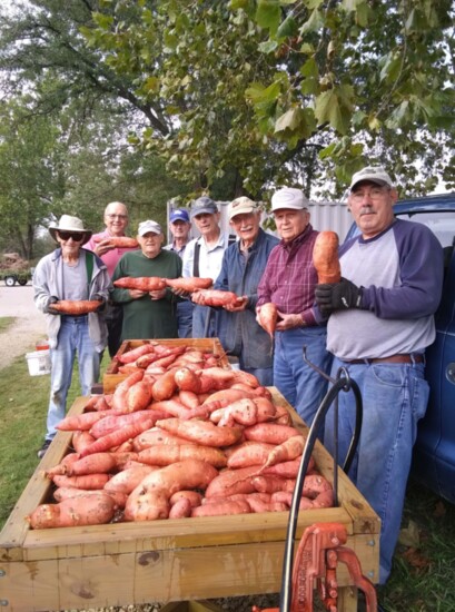 Manhattan Men's Garden Club donated 240 lbs of locally grown sweet potatoes at the Flint Hills Breadbasket