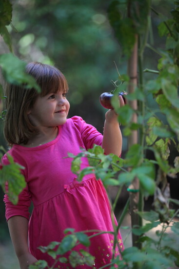 By planting, tending, and harvesting, students develop a profound connection to the earth and the food they eat.