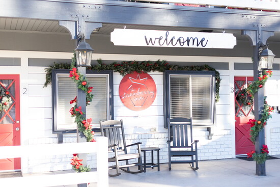 Photo Credit: Kat Lynch 