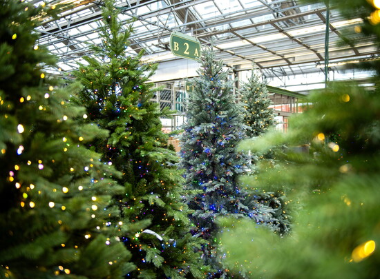 Photo by Gracie Vespa, English Gardens