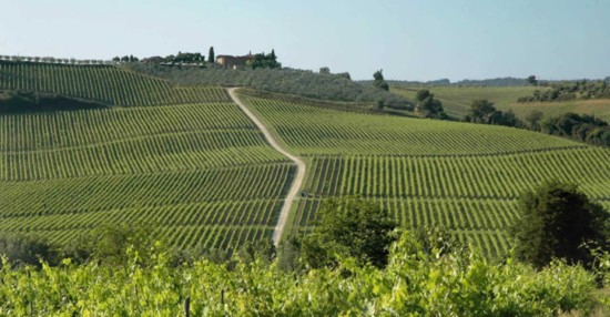 The Rocca delle Macìe winery, owned by the Zingarelli family since 1973, is located  20 minutes away from Siena and an hour from Florence.