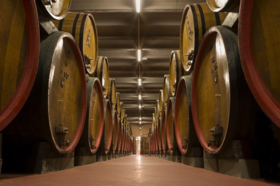 Among the activities not to be missed is a guided visit to the cellars of Rocca delle Macie in Italy.