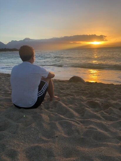 Bailey on the beach at sunset in Maui, Hawaii. 