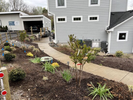 Men's House and Garden