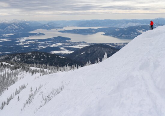 A view at Schweitzer