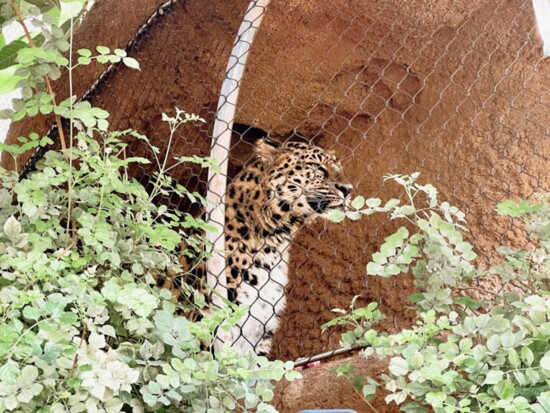 San Diego Zoo