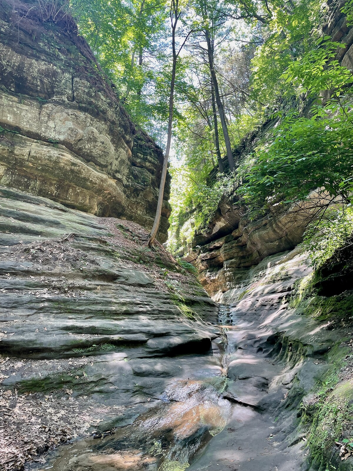 A Starved Rock Exploration