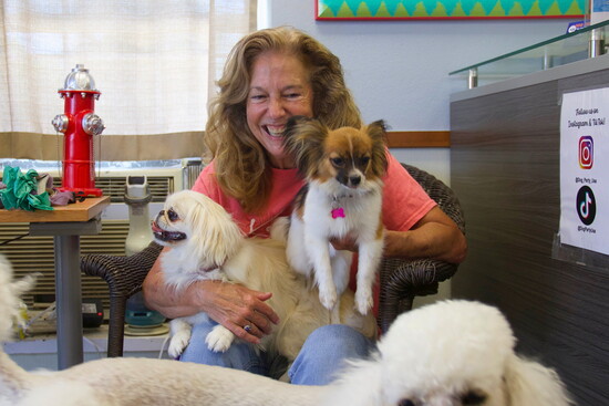 Chaddie and her Beloved Dogs