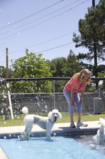 London and Chaddie Supervising the Swimming Pool