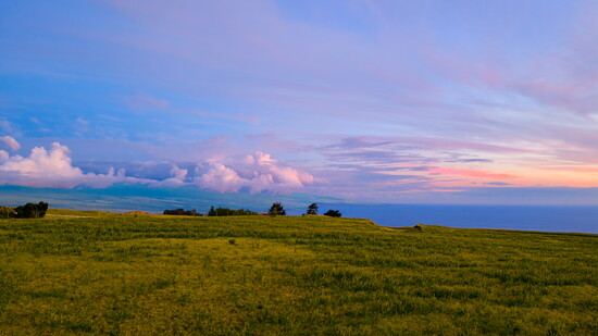 Featured image for A Taste for Paradise