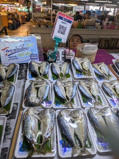 Fish at a market. Photo Credit: Star Williams