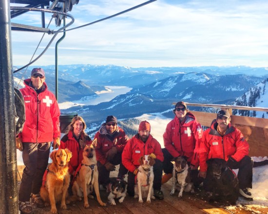 The Alpental Avalanche Rescue K9s team