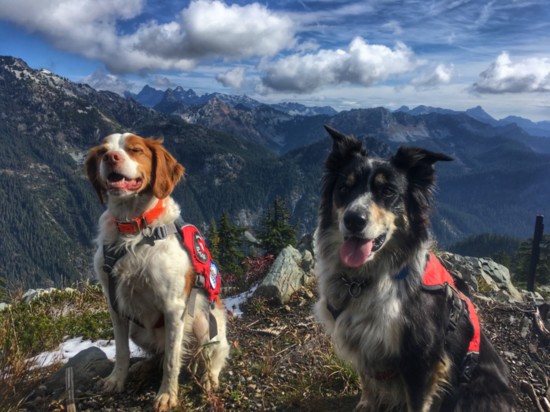 Maggie and Etta at the top of Alpental. Photo by Ron Linde