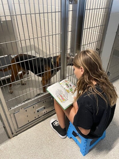 Young girl reads to Humane Society dog.