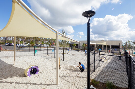 The play yard for doggies.