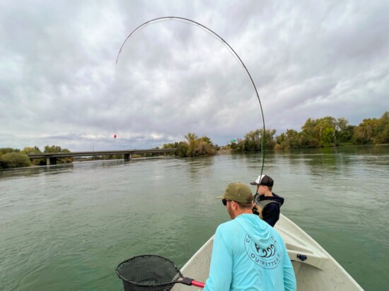 @djspiveyflyfishing