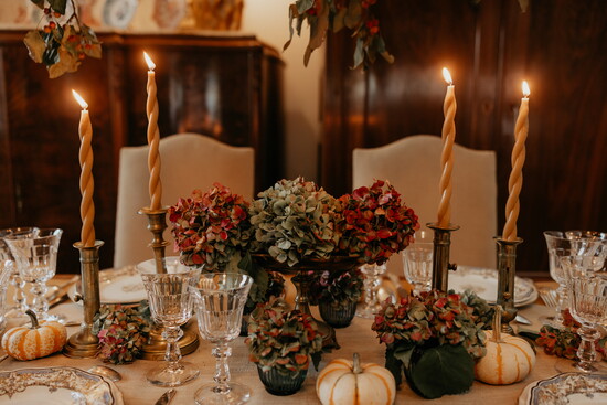 Hailey Faria Photography