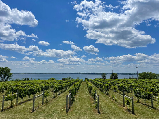 Winery at Sovereign Estate