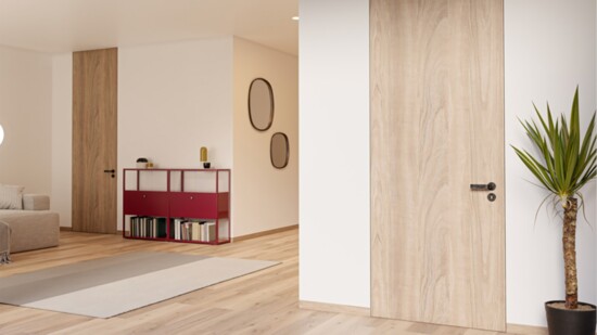 Caseless Flush Interior Doors