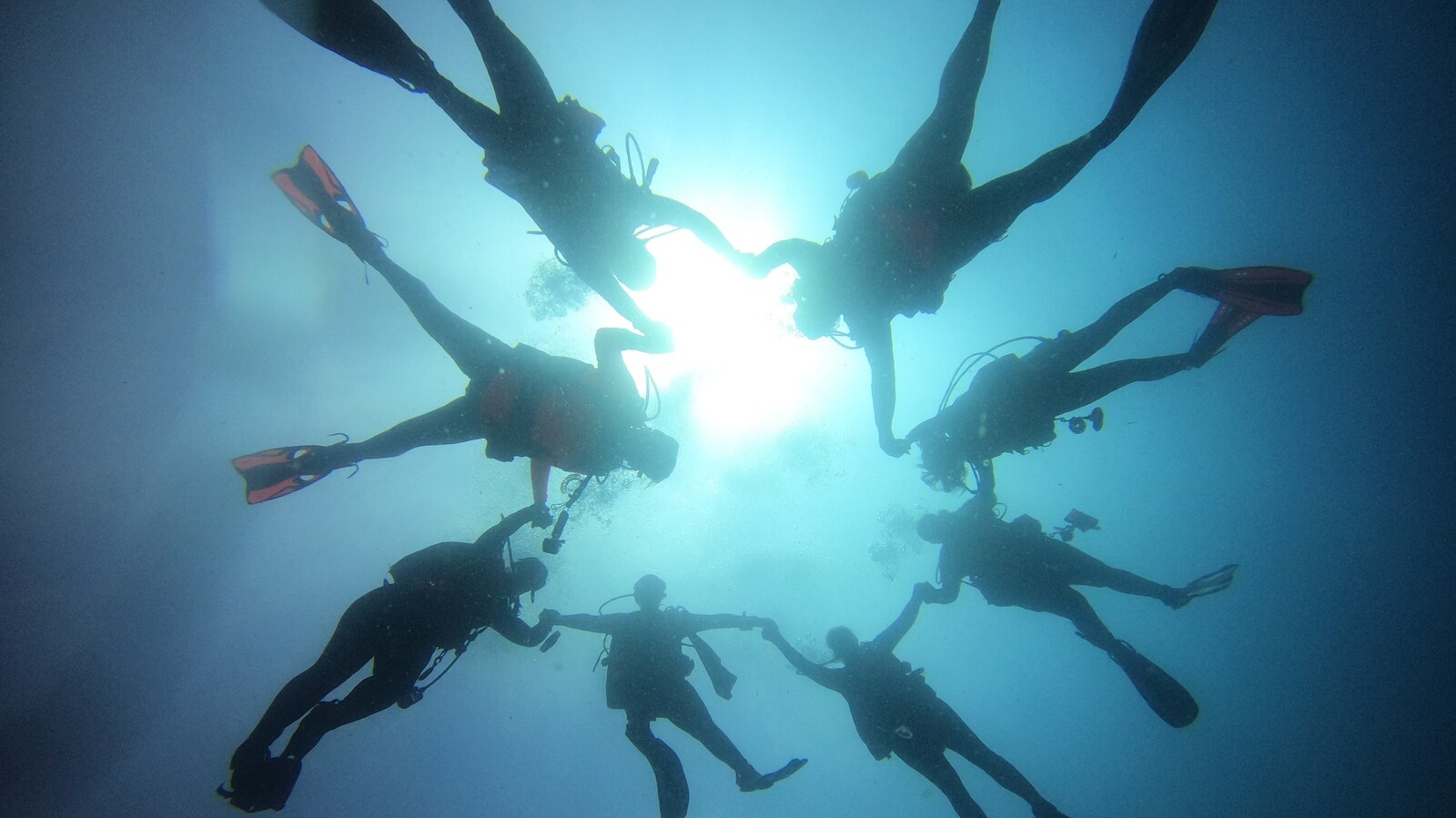 A true diving community with a love for our waters
