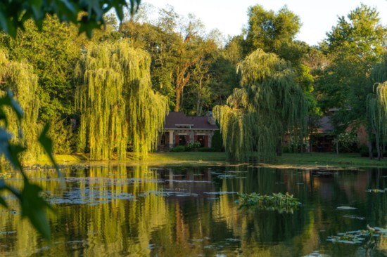 Lake and Villas