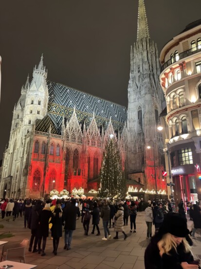 Vienna market at Saint Stephens Cathedral 