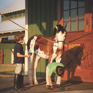 horsempb-lifestyle-childrens%20activity-horsepainting-300?v=1