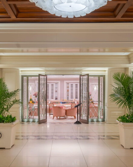 Looking in at Camellias