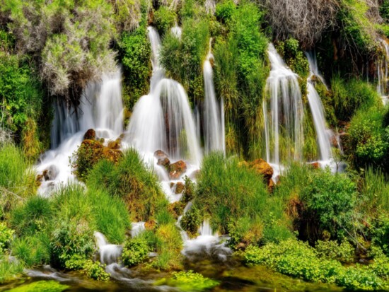 Thousand Springs State Park with a small spring escaping from the canyon walls of the Snake River. PC: Charles Knowles