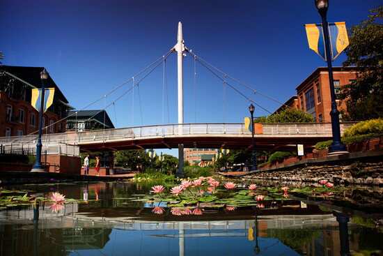Carroll Creek Park. Photo Credit: Visit Frederick