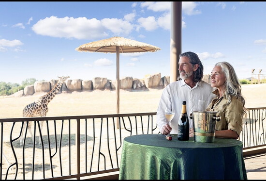 Champagne, wildlife and wide-open views come together at Seasons, where celebrations unfold in the middle of a living landscape.