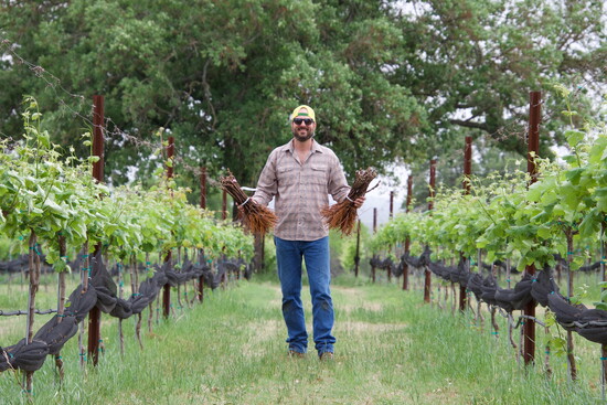 Andy Bilger, owner of Adega Vinho