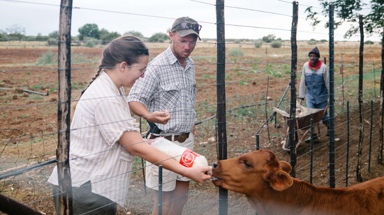 Feeding her brother's cows in South Africa