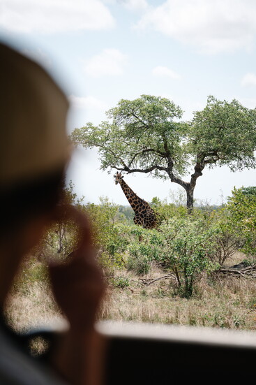 Valerie's first safari in South Africa